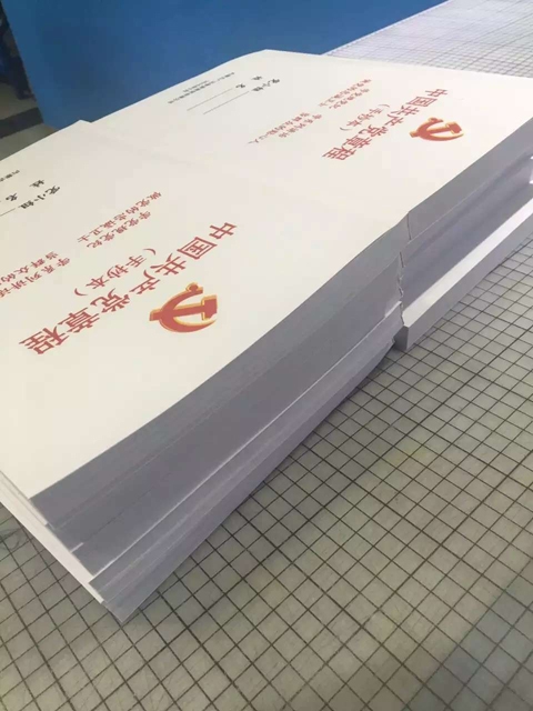手抄党章3